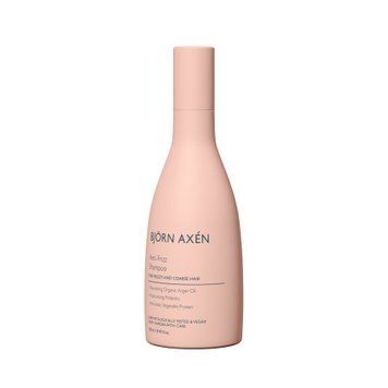 Розгладжуючий шампунь Bjorn Axen Anti-Frizz Shampoo, 250 мл 1100205 фото