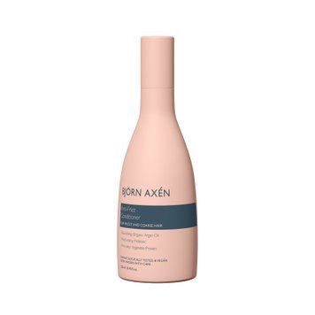 Розгладжуючий кондиціонер Bjorn Axen Anti-Frizz Conditioner, 250 мл 1100206 фото