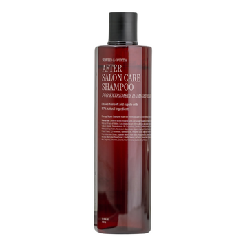 Відновлюючий шампунь для дуже пошкодженого волосся CURLY SHYLL After Salon Care Shampoo (Extremely Damaged), 360 мл 12776 фото